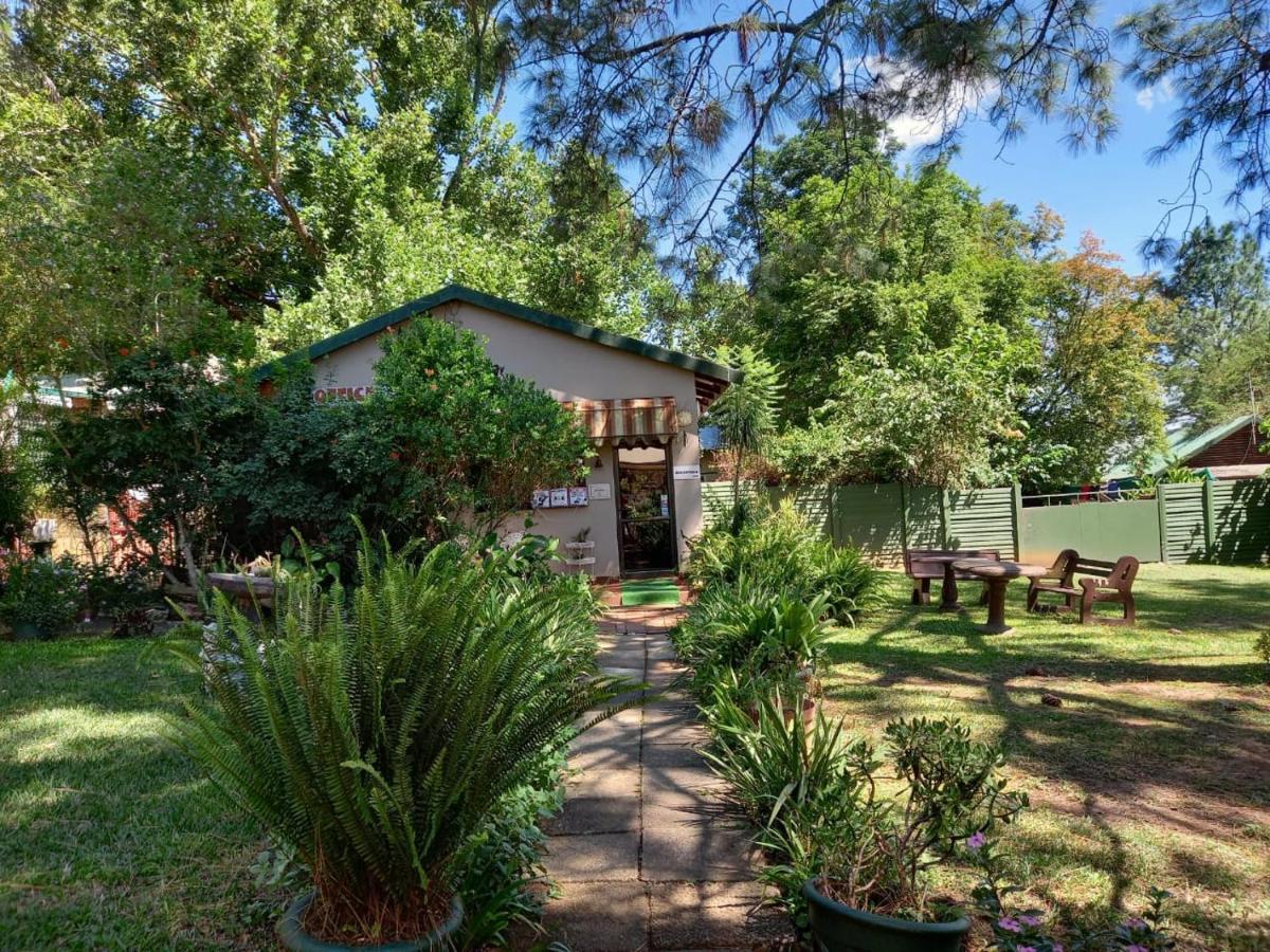 פיטרמריצברג Acacia Bush Lodge מראה חיצוני תמונה