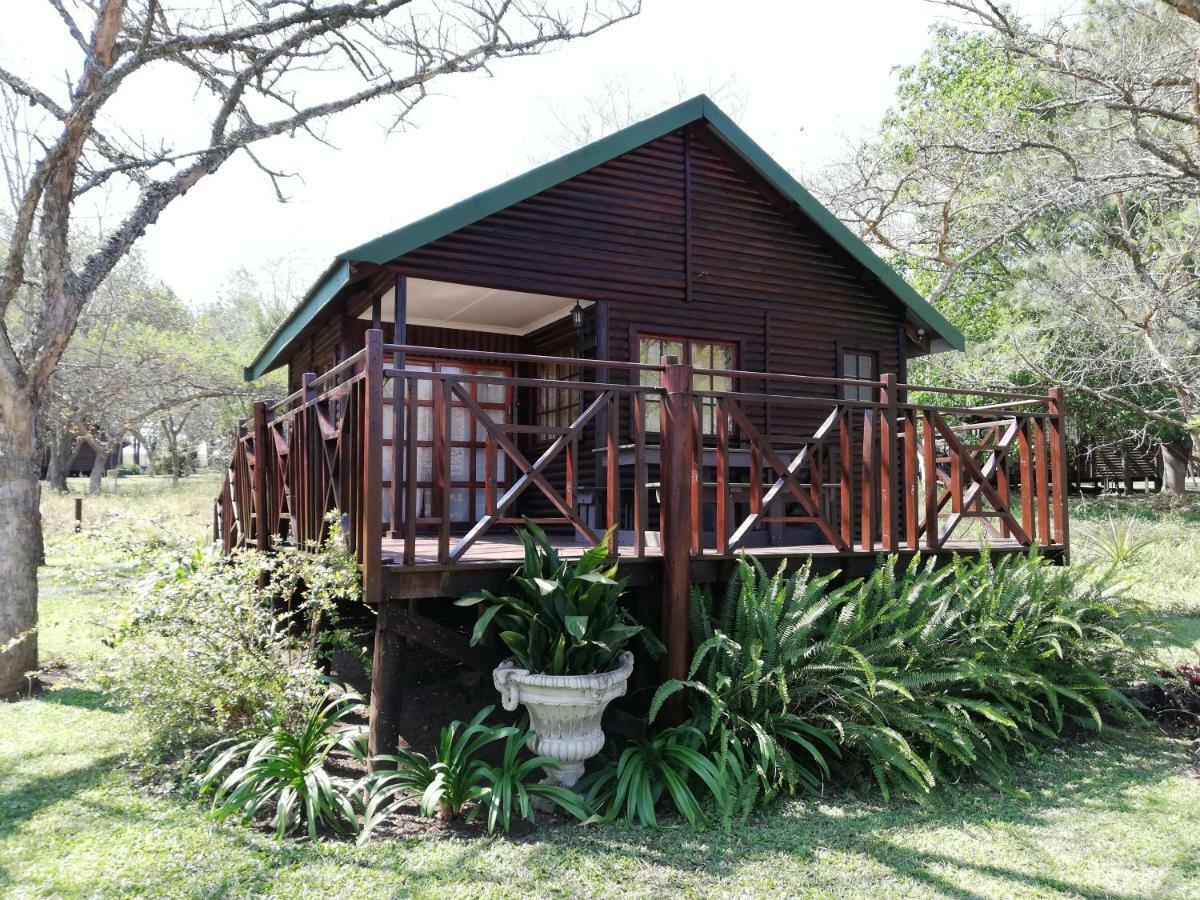 פיטרמריצברג Acacia Bush Lodge מראה חיצוני תמונה