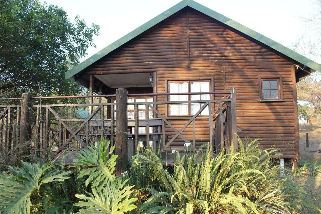 פיטרמריצברג Acacia Bush Lodge מראה חיצוני תמונה
