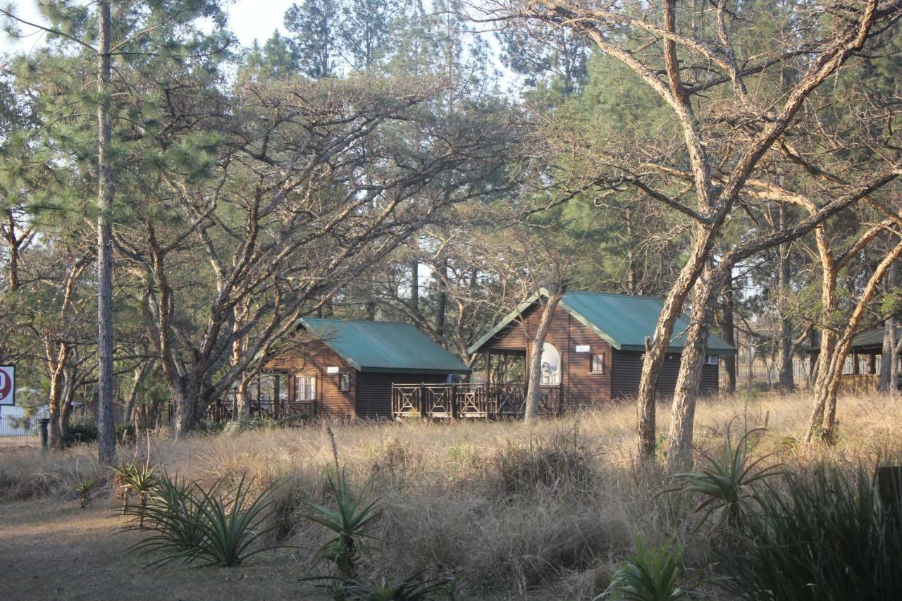 פיטרמריצברג Acacia Bush Lodge מראה חיצוני תמונה